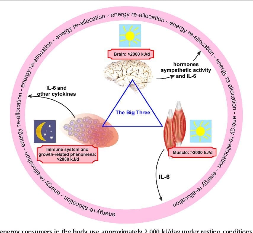 2-Figure1-1 (1)